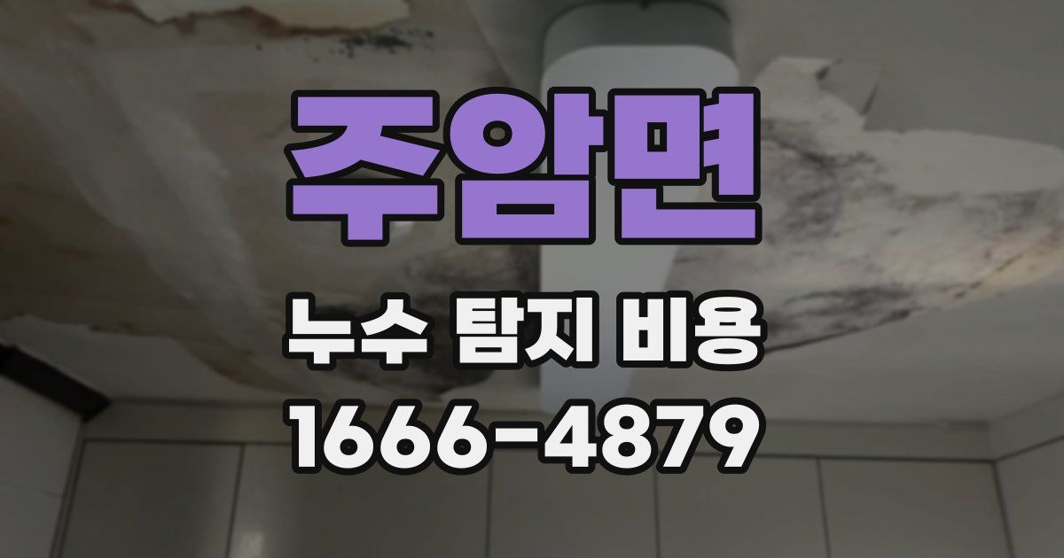 주암면 누수 탐지 비용