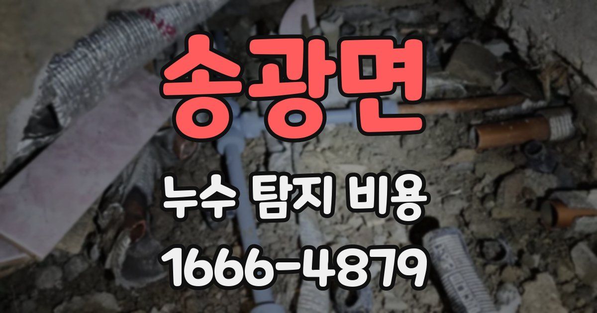 송광면 누수 탐지 비용