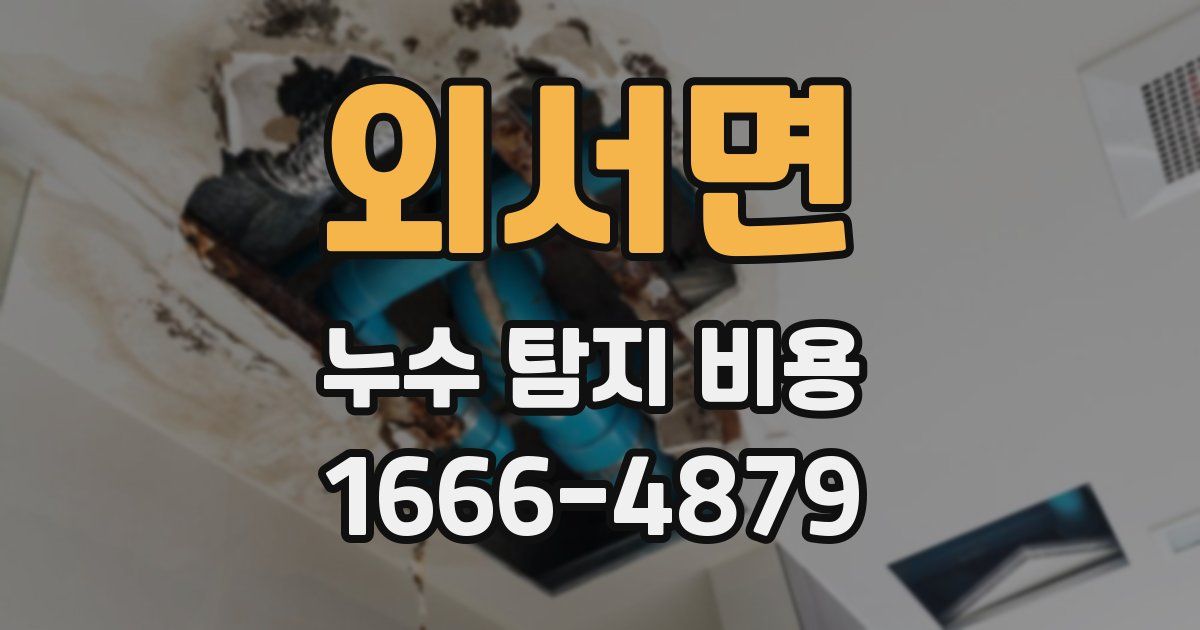 외서면 누수 탐지 비용