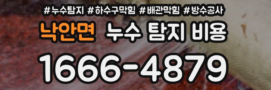 낙안면 누수 탐지 비용