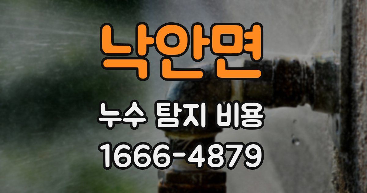 낙안면 누수 탐지 비용