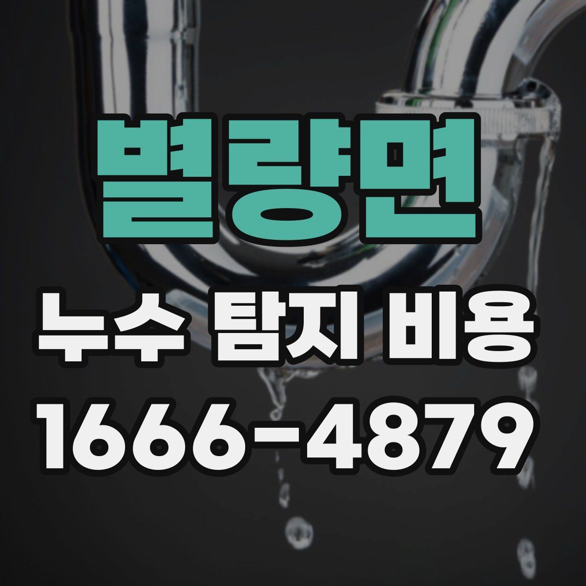 별량면 누수 탐지 비용