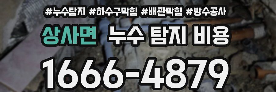 상사면 누수 탐지 비용