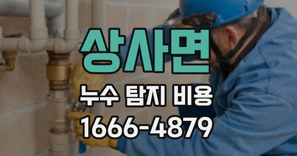 상사면 누수 탐지 비용
