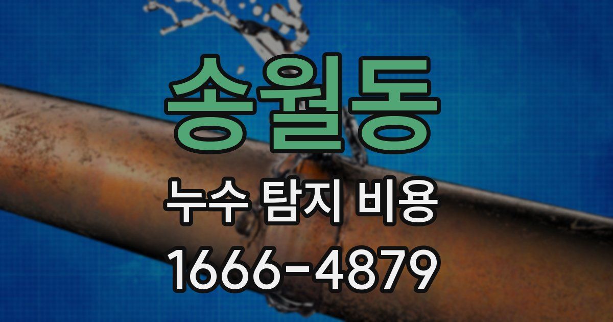 송월동 누수 탐지 비용
