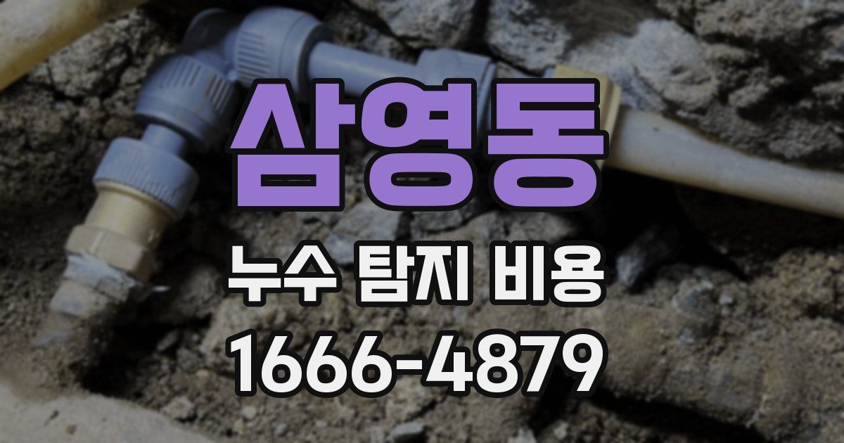 삼영동 누수 탐지 비용