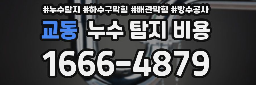 교동 누수 탐지 비용