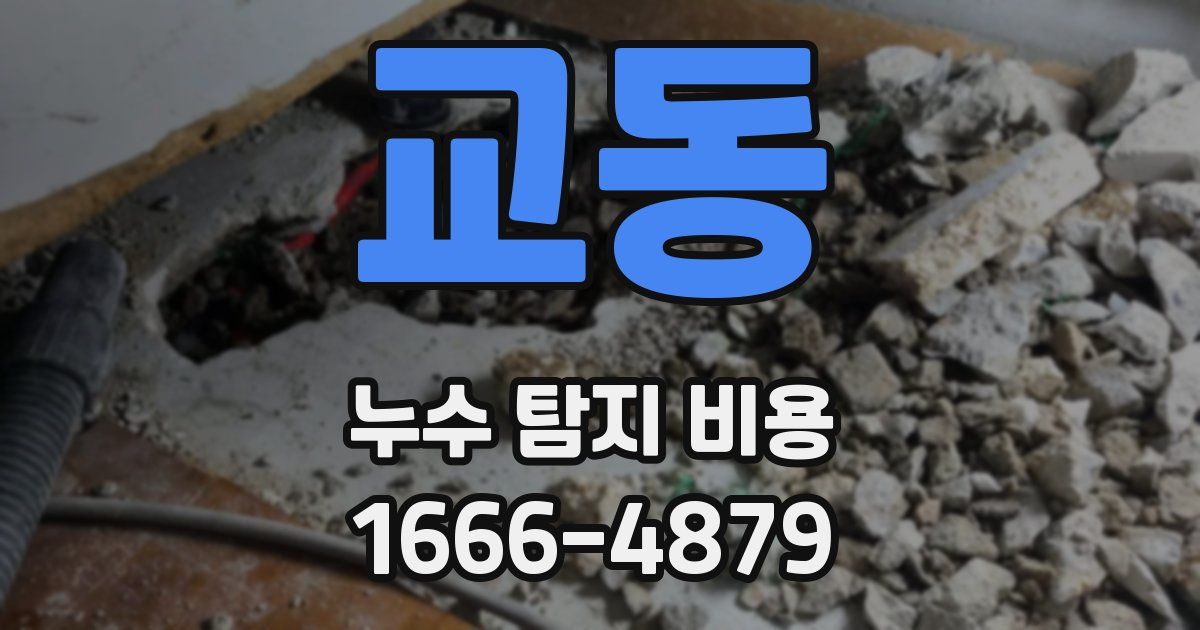 교동 누수 탐지 비용