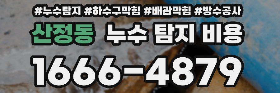 산정동 누수 탐지 비용