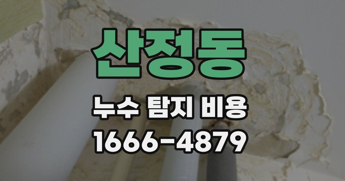 산정동 누수 탐지 비용