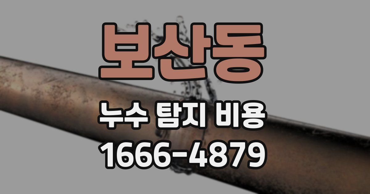보산동 누수 탐지 비용