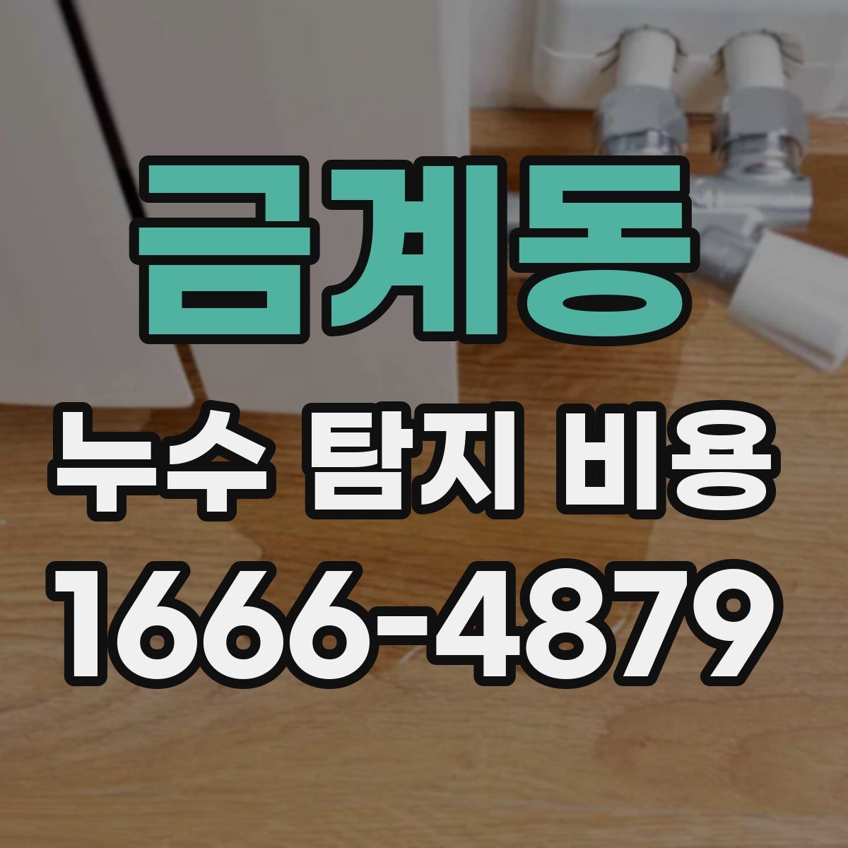 금계동 누수 탐지 비용