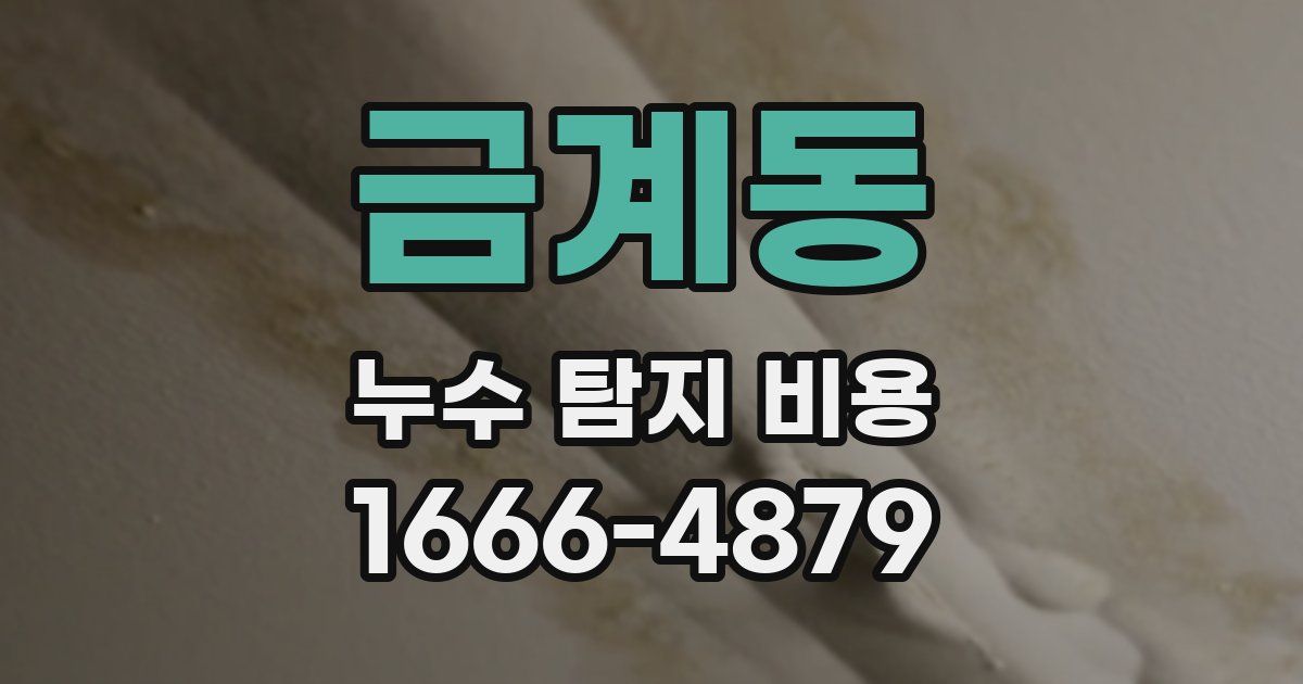 금계동 누수 탐지 비용