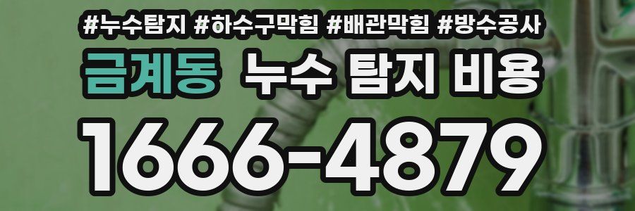 금계동 누수 탐지 비용