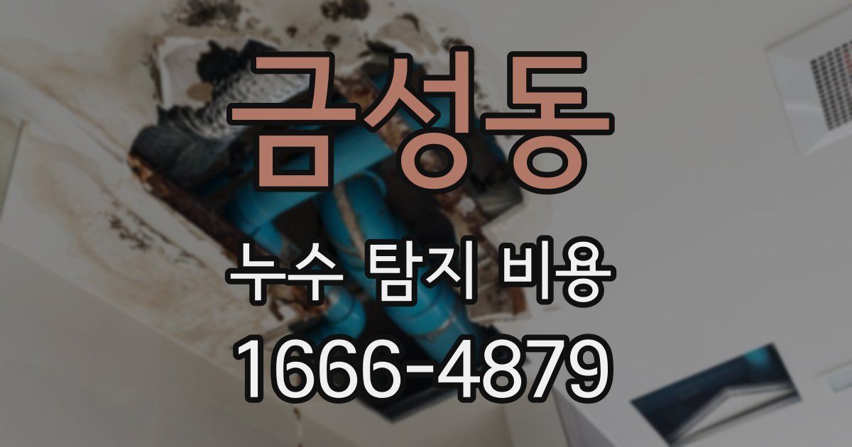 금성동 누수 탐지 비용