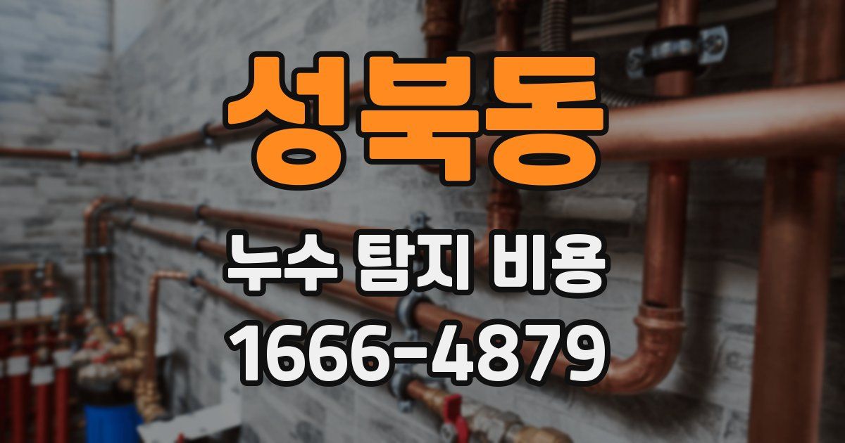 성북동 누수 탐지 비용