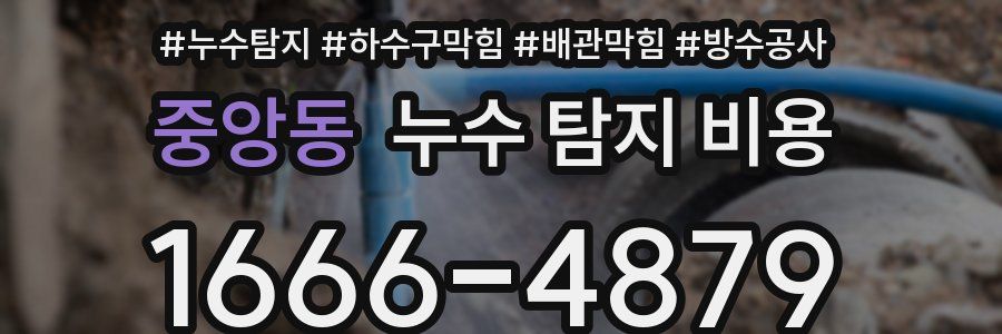 중앙동 누수 탐지 비용