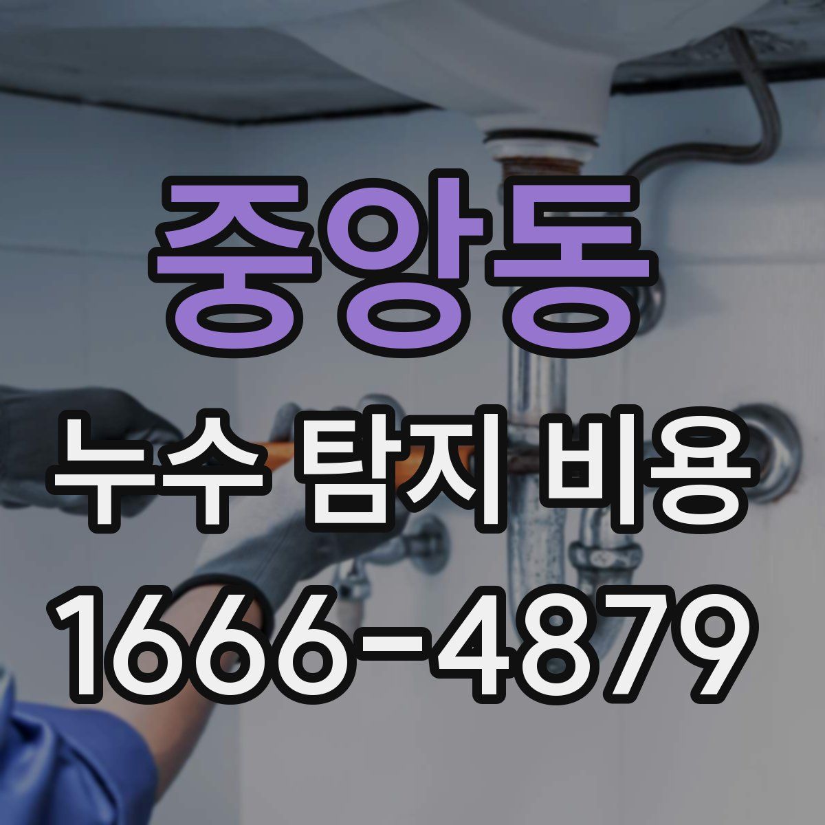중앙동 누수 탐지 비용