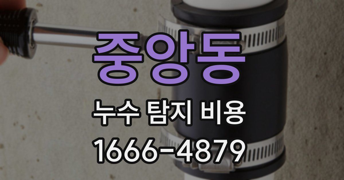 중앙동 누수 탐지 비용
