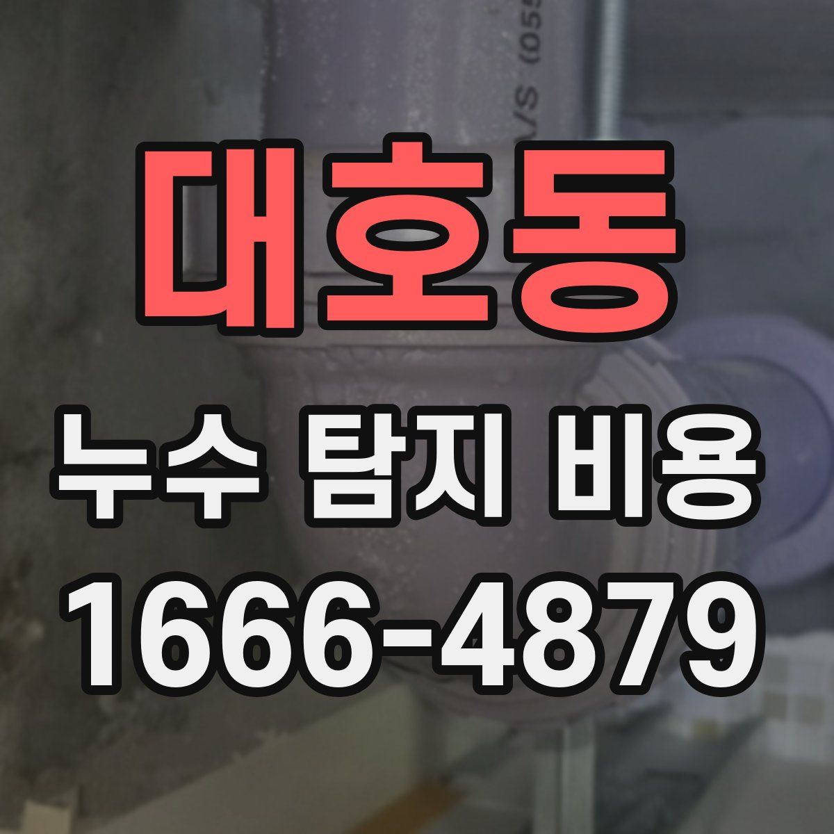 대호동 누수 탐지 비용