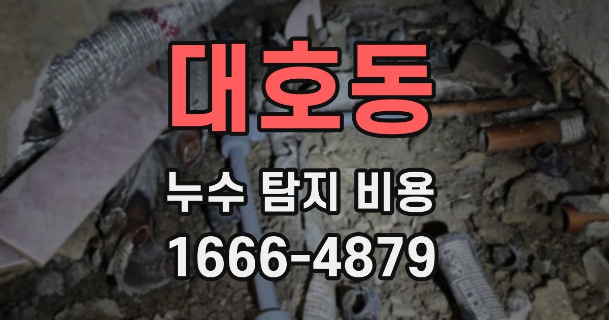 대호동 누수 탐지 비용