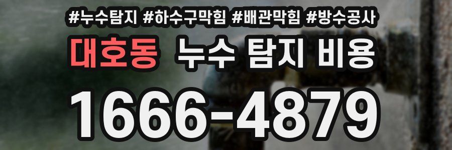 대호동 누수 탐지 비용