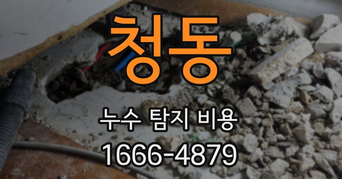 청동 누수 탐지 비용