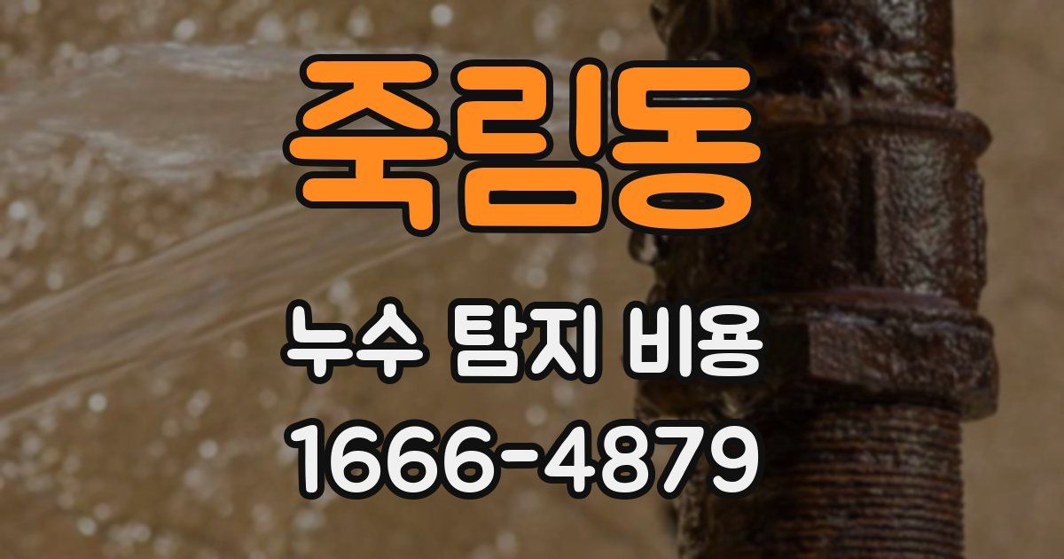죽림동 누수 탐지 비용