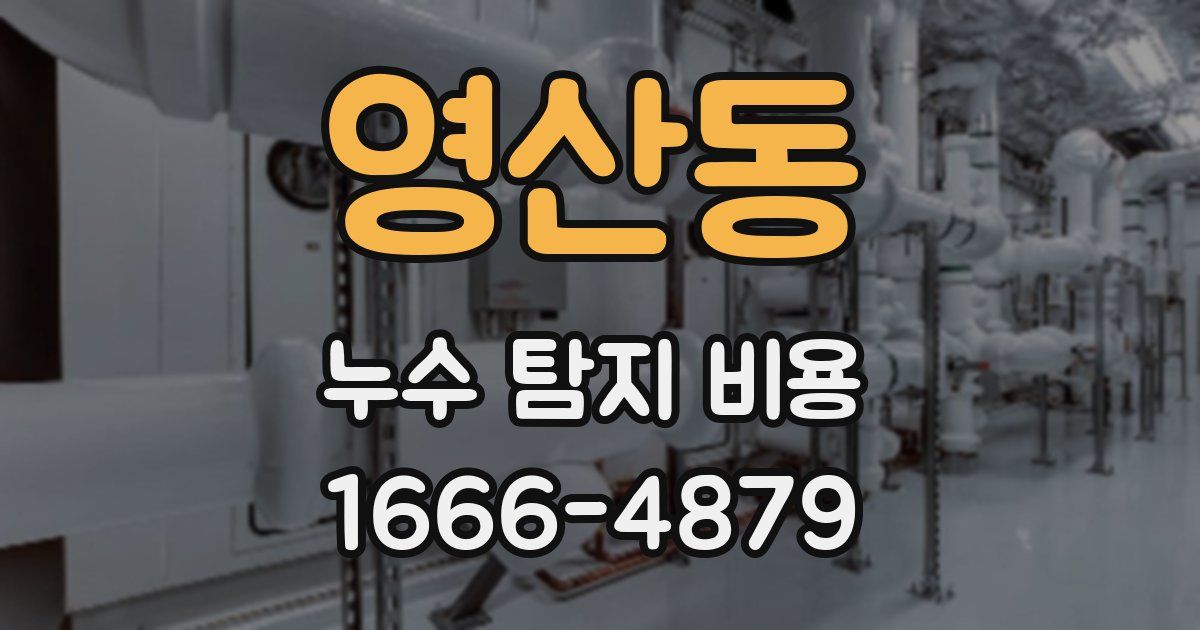 영산동 누수 탐지 비용