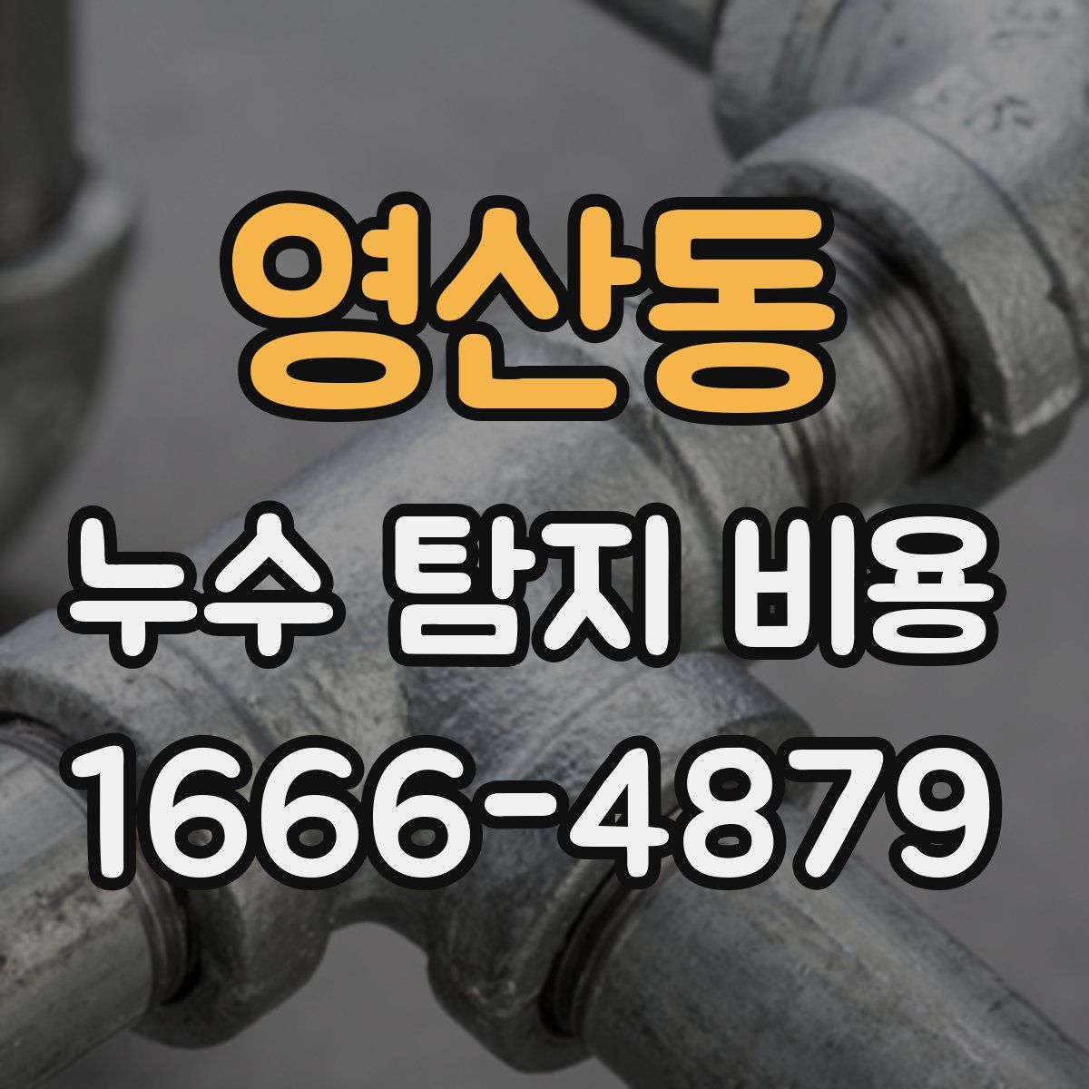 영산동 누수 탐지 비용