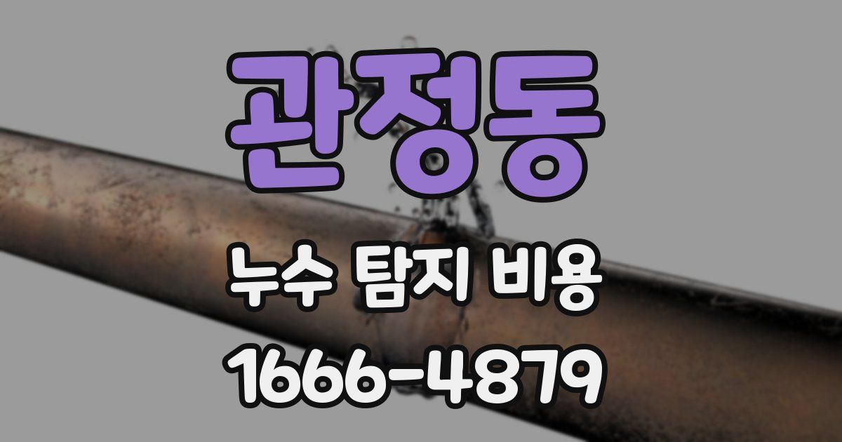 관정동 누수 탐지 비용