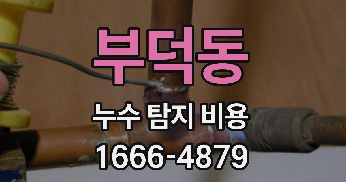 부덕동 누수 탐지 비용