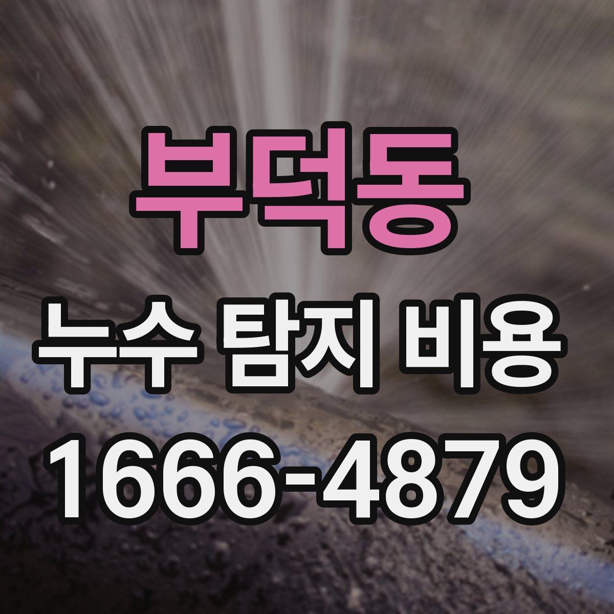 부덕동 누수 탐지 비용