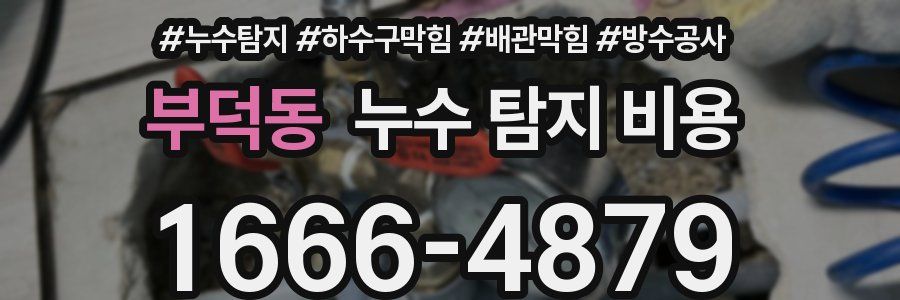 부덕동 누수 탐지 비용