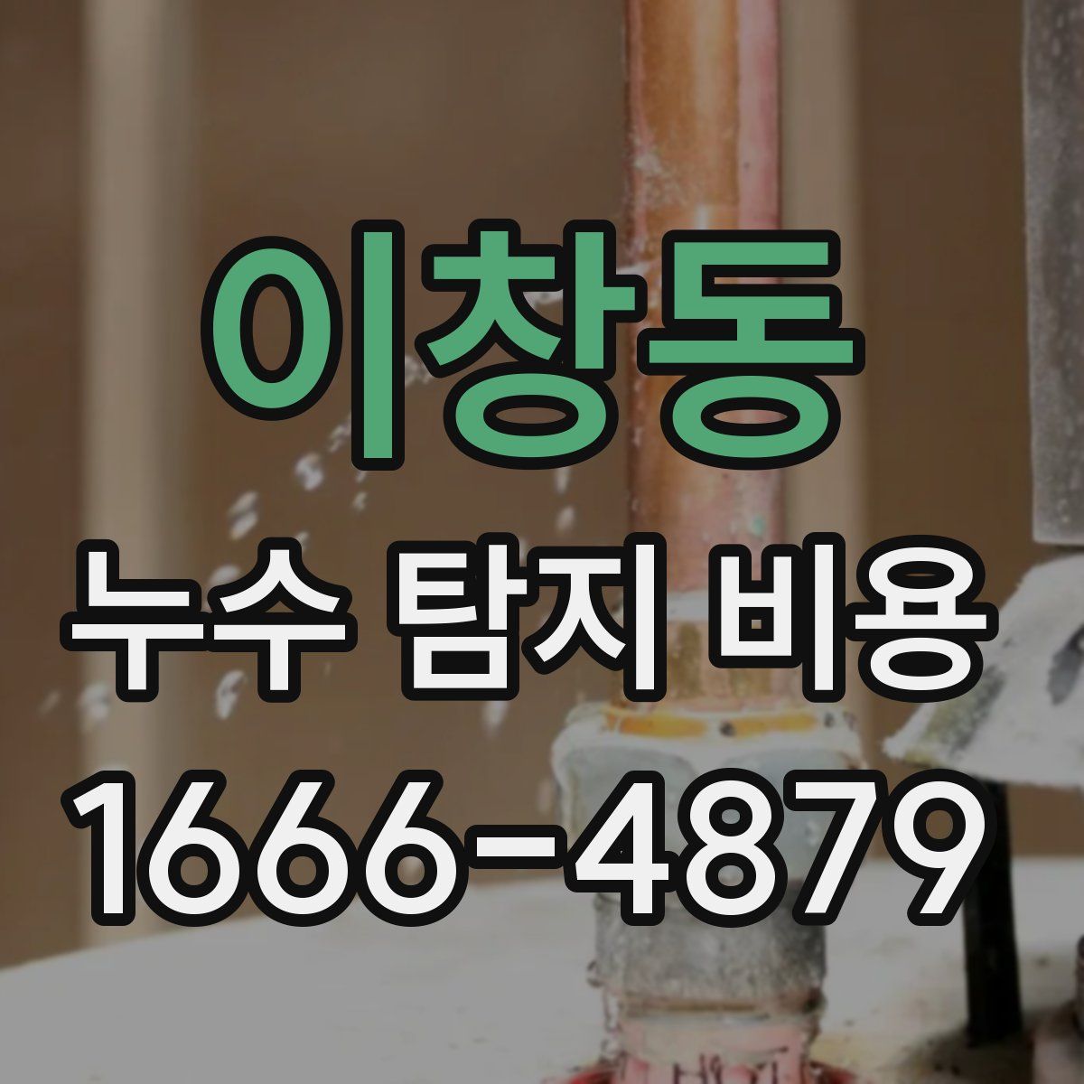 이창동 누수 탐지 비용