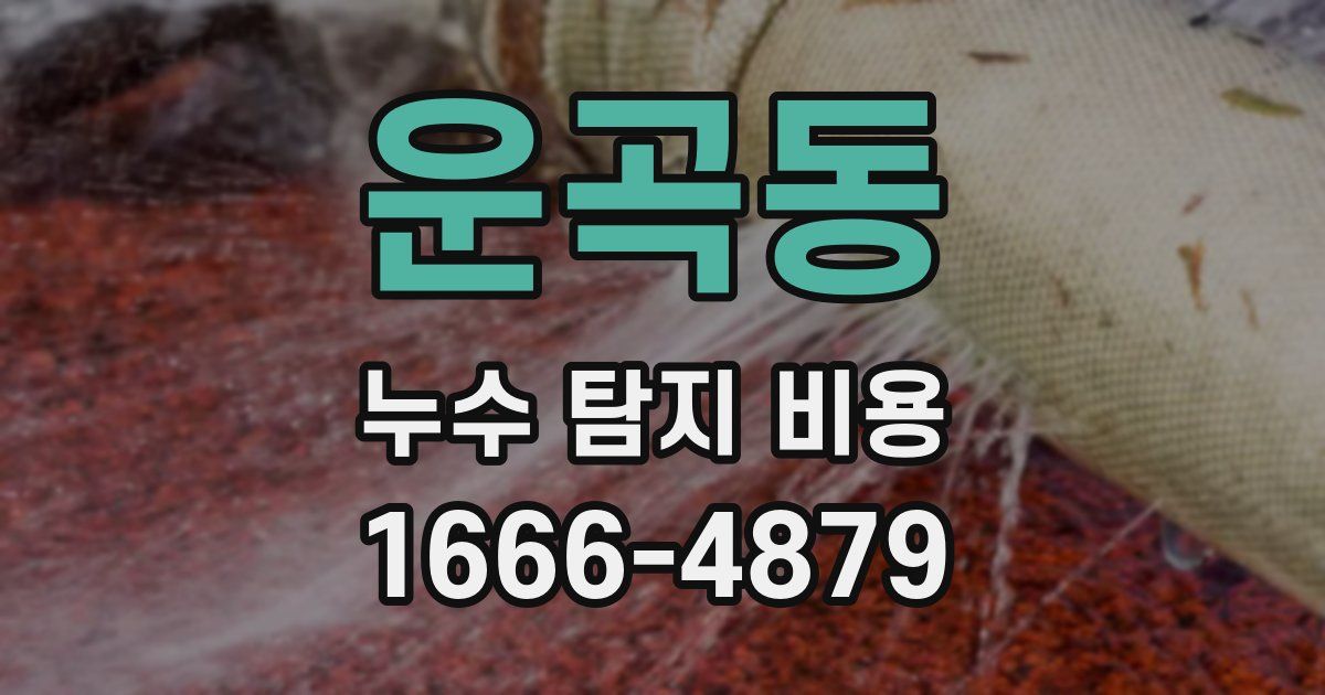 운곡동 누수 탐지 비용