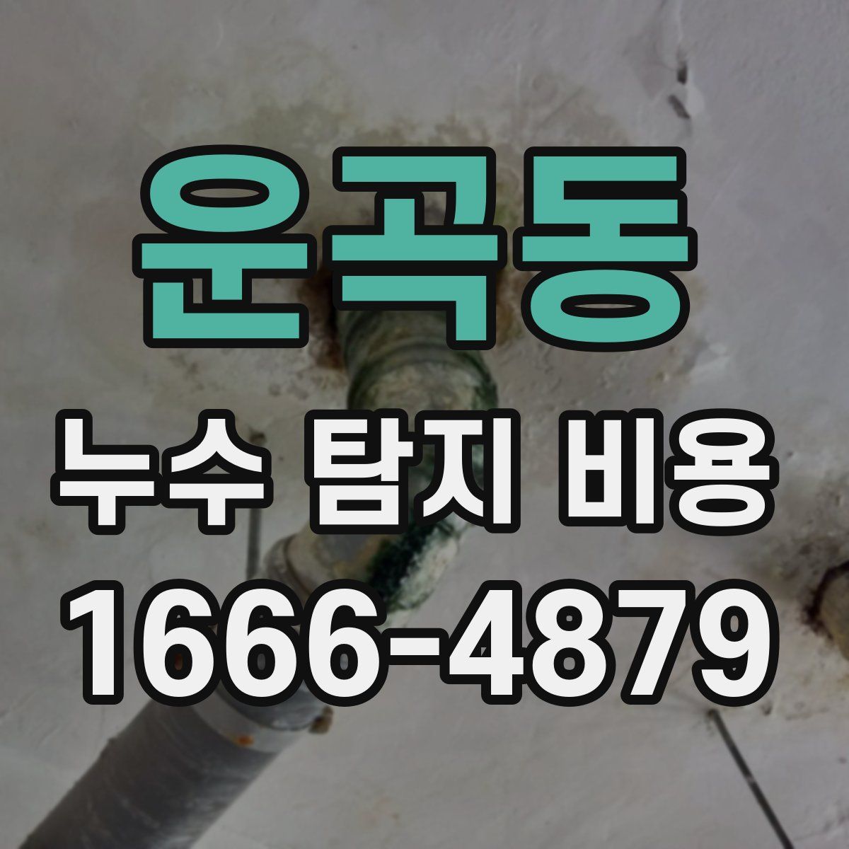 운곡동 누수 탐지 비용