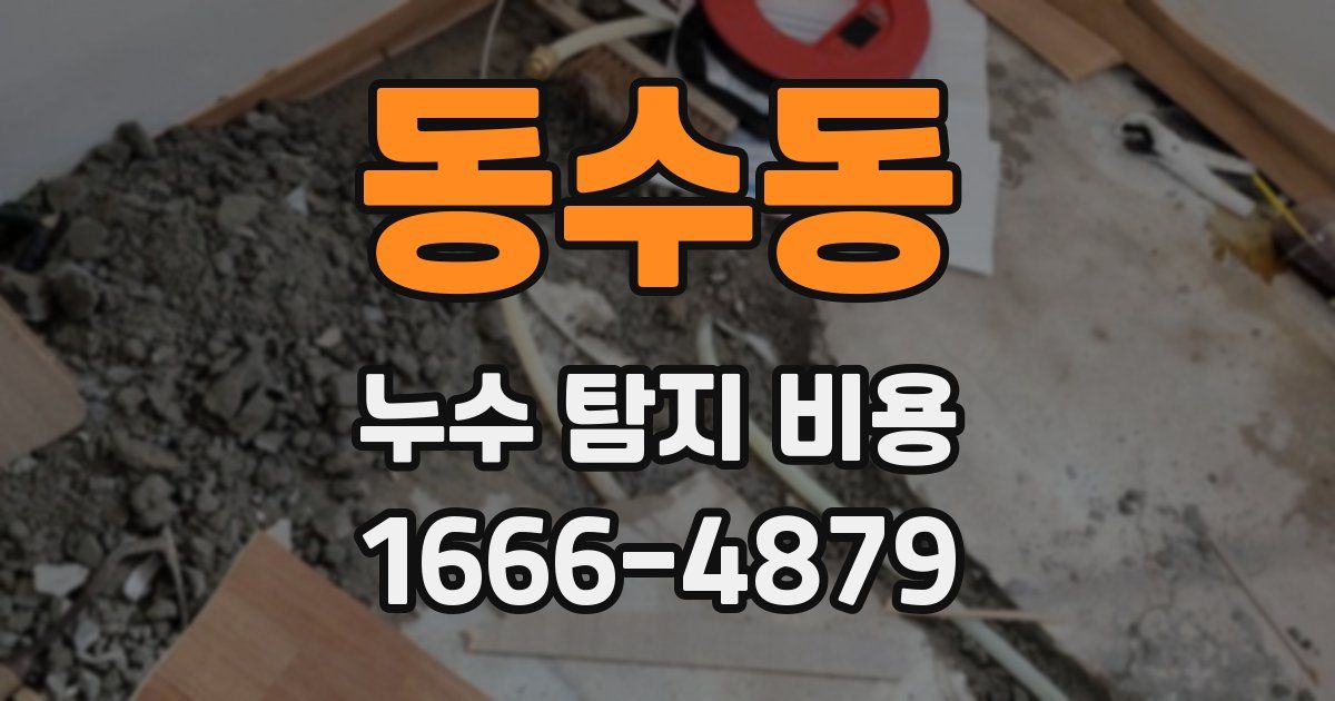 동수동 누수 탐지 비용