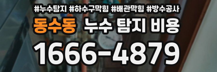 동수동 누수 탐지 비용