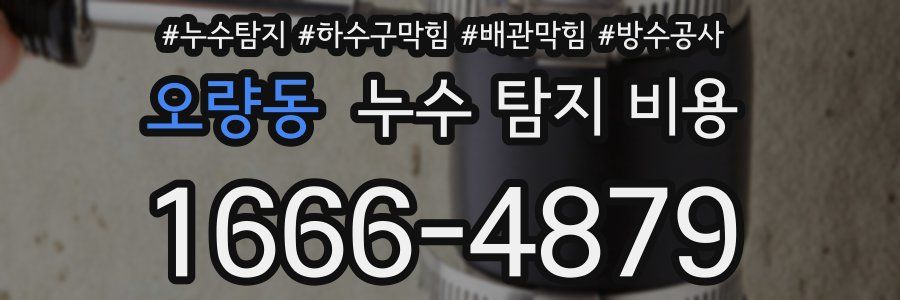 오량동 누수 탐지 비용