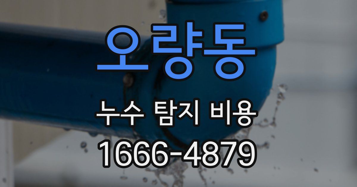 오량동 누수 탐지 비용
