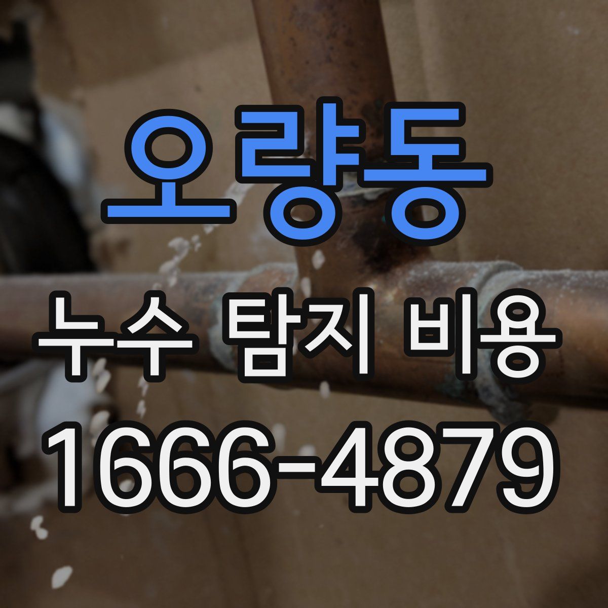 오량동 누수 탐지 비용