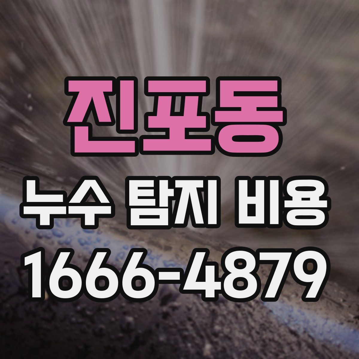 진포동 누수 탐지 비용
