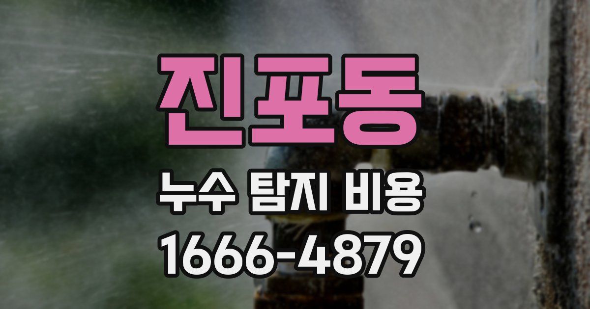 진포동 누수 탐지 비용