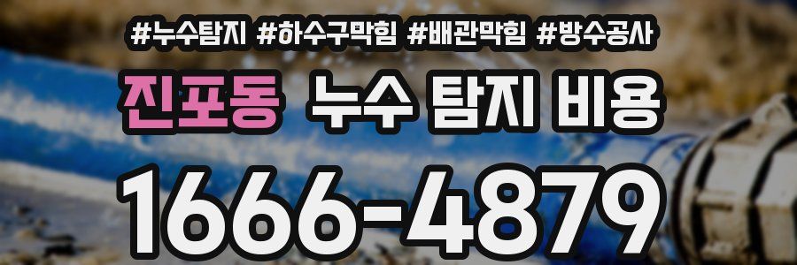 진포동 누수 탐지 비용