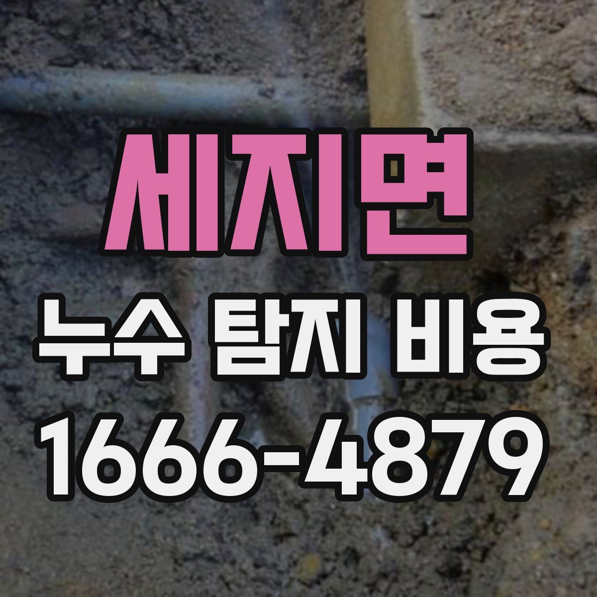 세지면 누수 탐지 비용