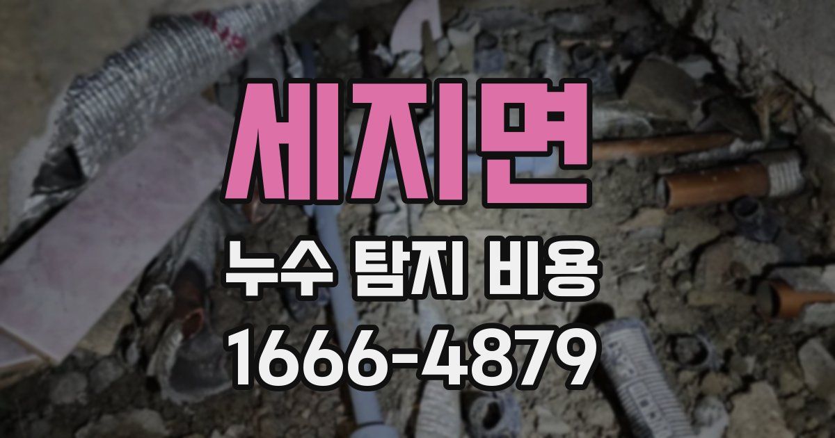 세지면 누수 탐지 비용