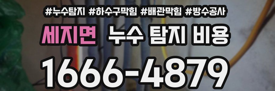세지면 누수 탐지 비용