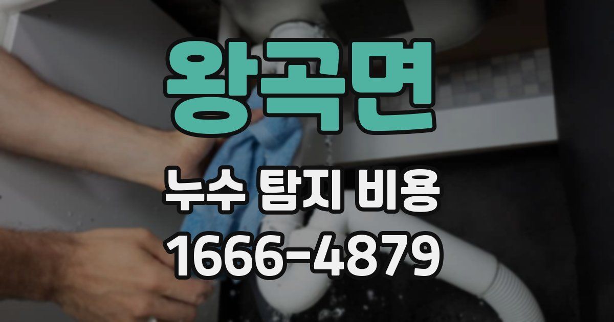 왕곡면 누수 탐지 비용