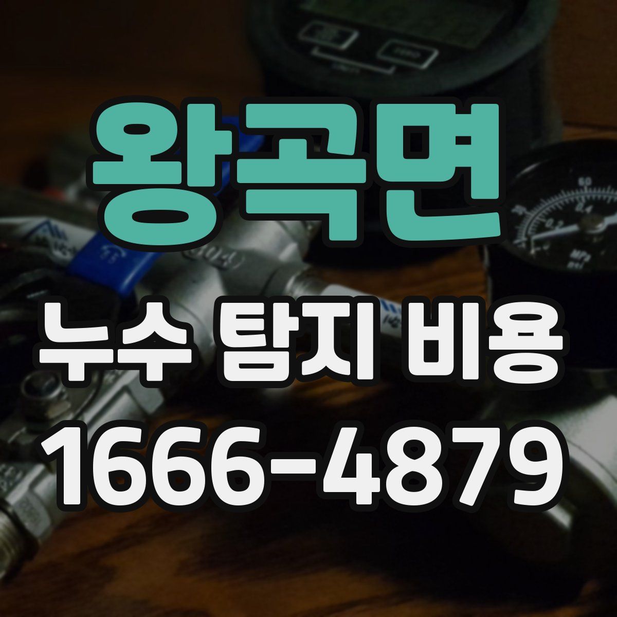 왕곡면 누수 탐지 비용